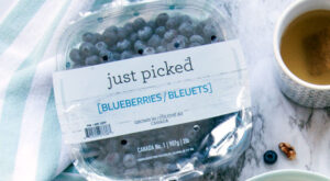 Blueberries image