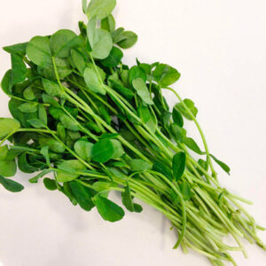 Microgreens: Pea Shoots image