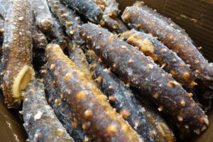 Sea Cucumber: IQF image