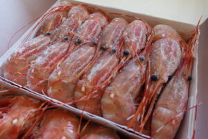 Spot Prawn: Frozen image