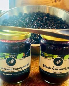 Jam and Concentrate: Black Currant image