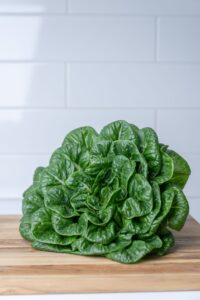 Lettuce: Roma Romaine image