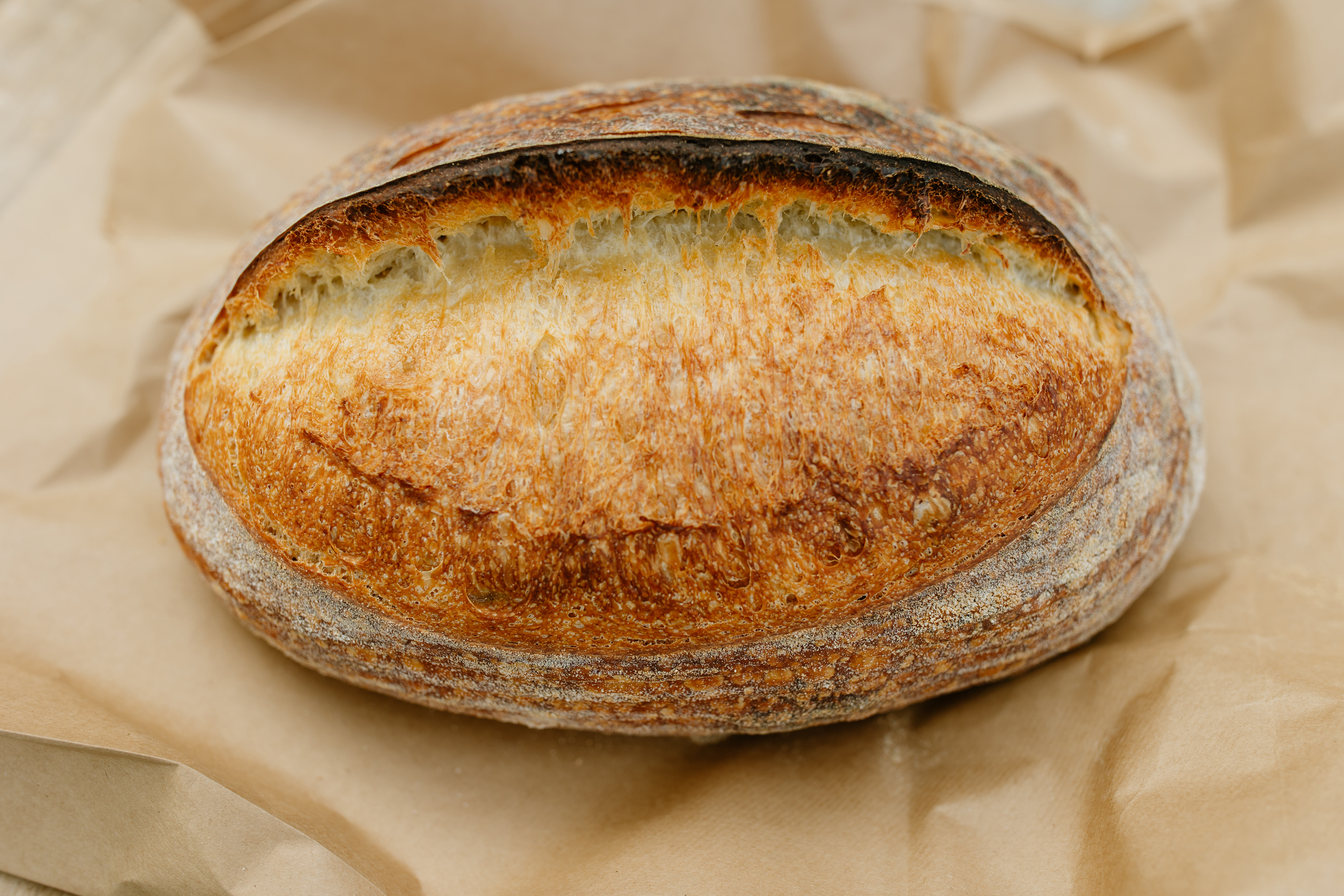 Sourdough bread image